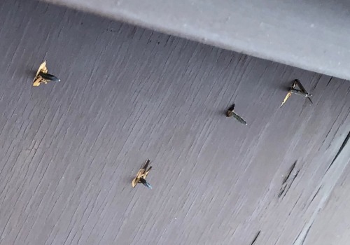 Should roofing nails go through the roof?
